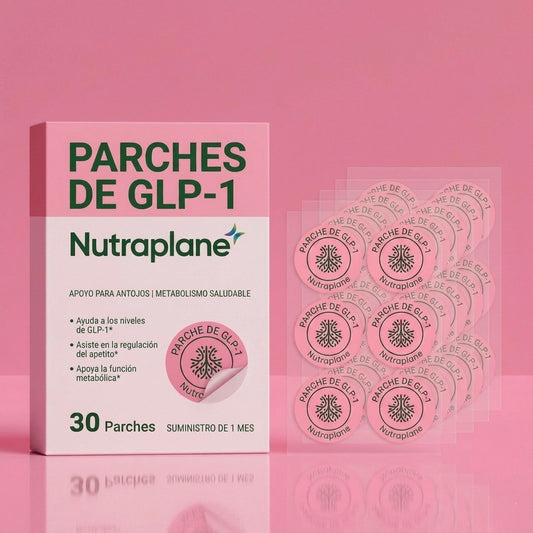 Plan berberina completo