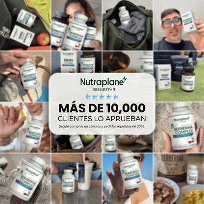 Plan berberina completo